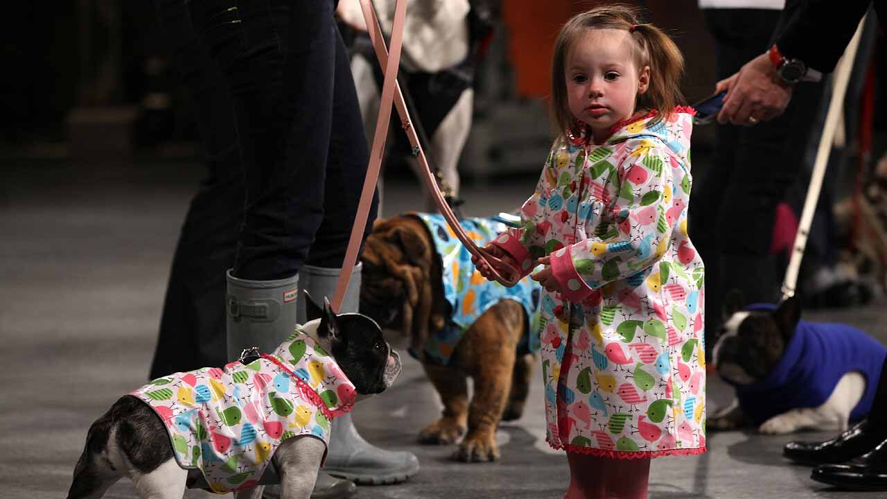 Babies & Beasts