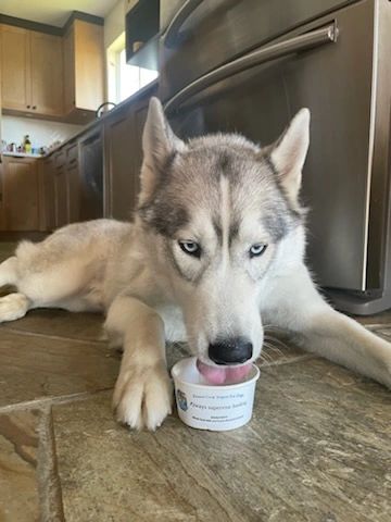 Chi’s Chilly Treats