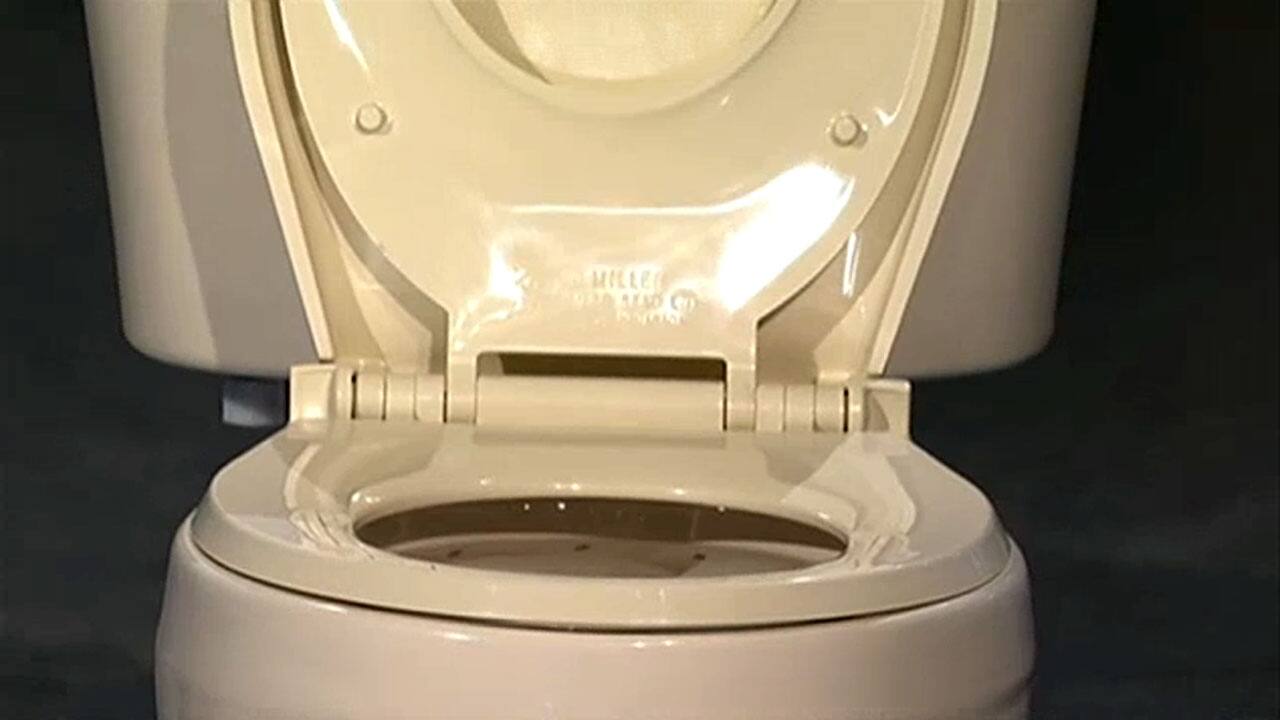 Choices Toilet Seat