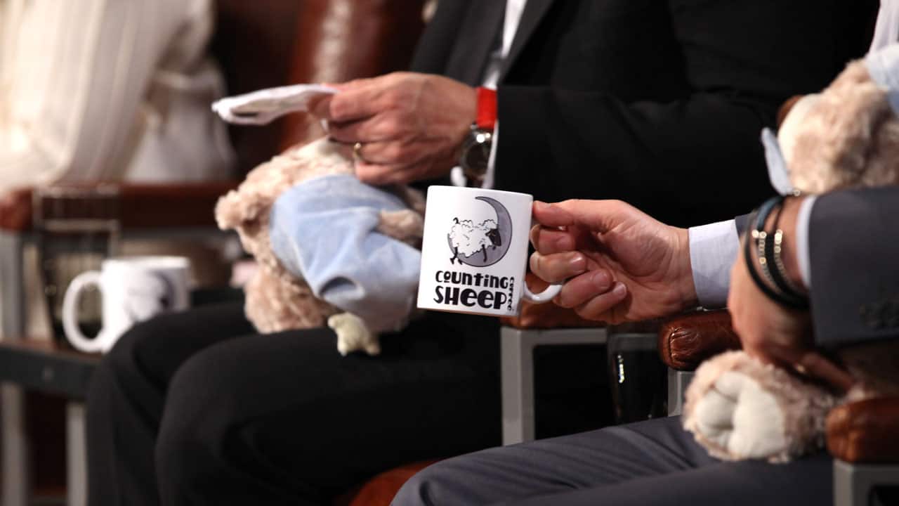 Counting Sheep Coffee