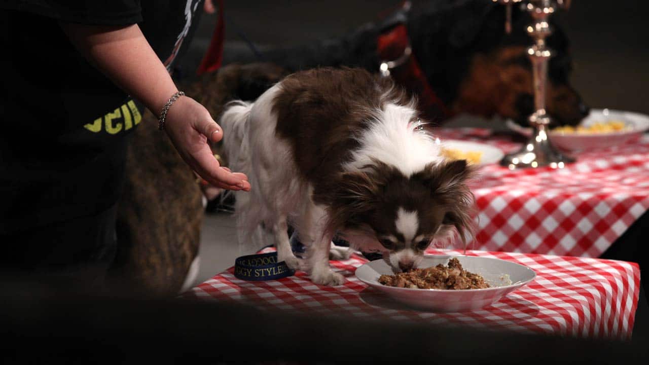 Doggystyle Deli