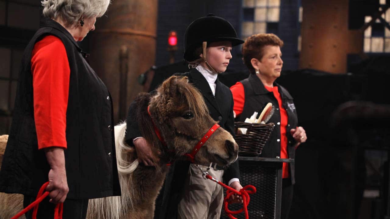 Head of the Herd Horse and Pet Spray