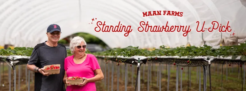 Maan Farms