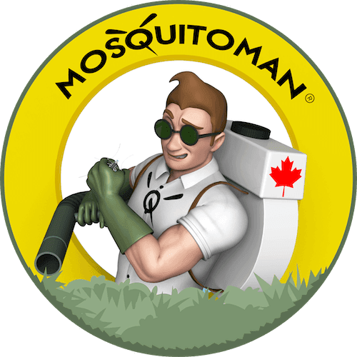 Mosquito Man