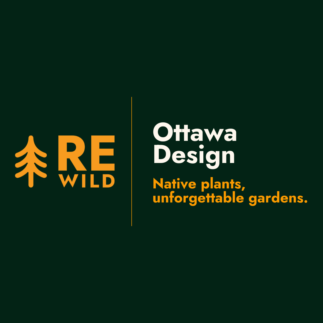 ReWild Landscapes