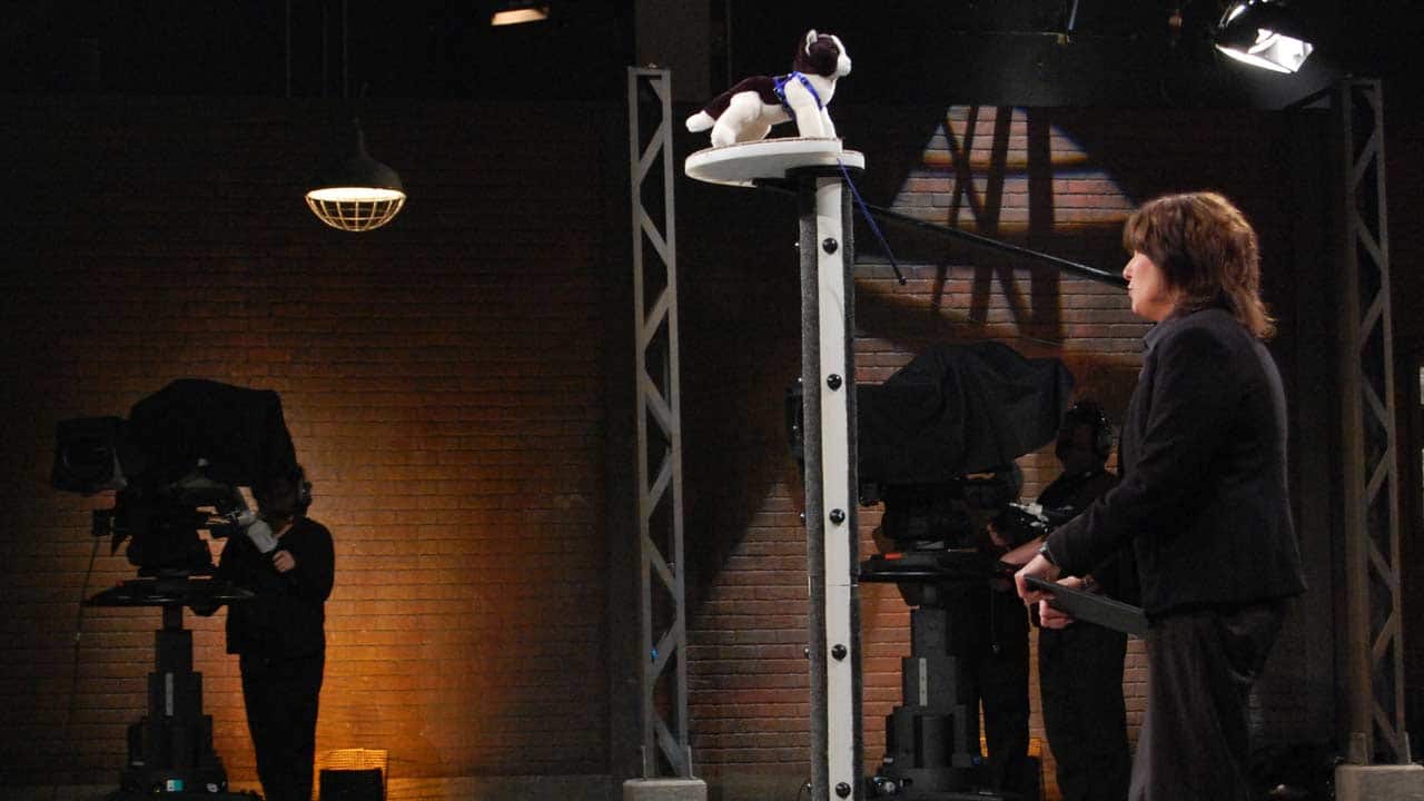 The Catwalk