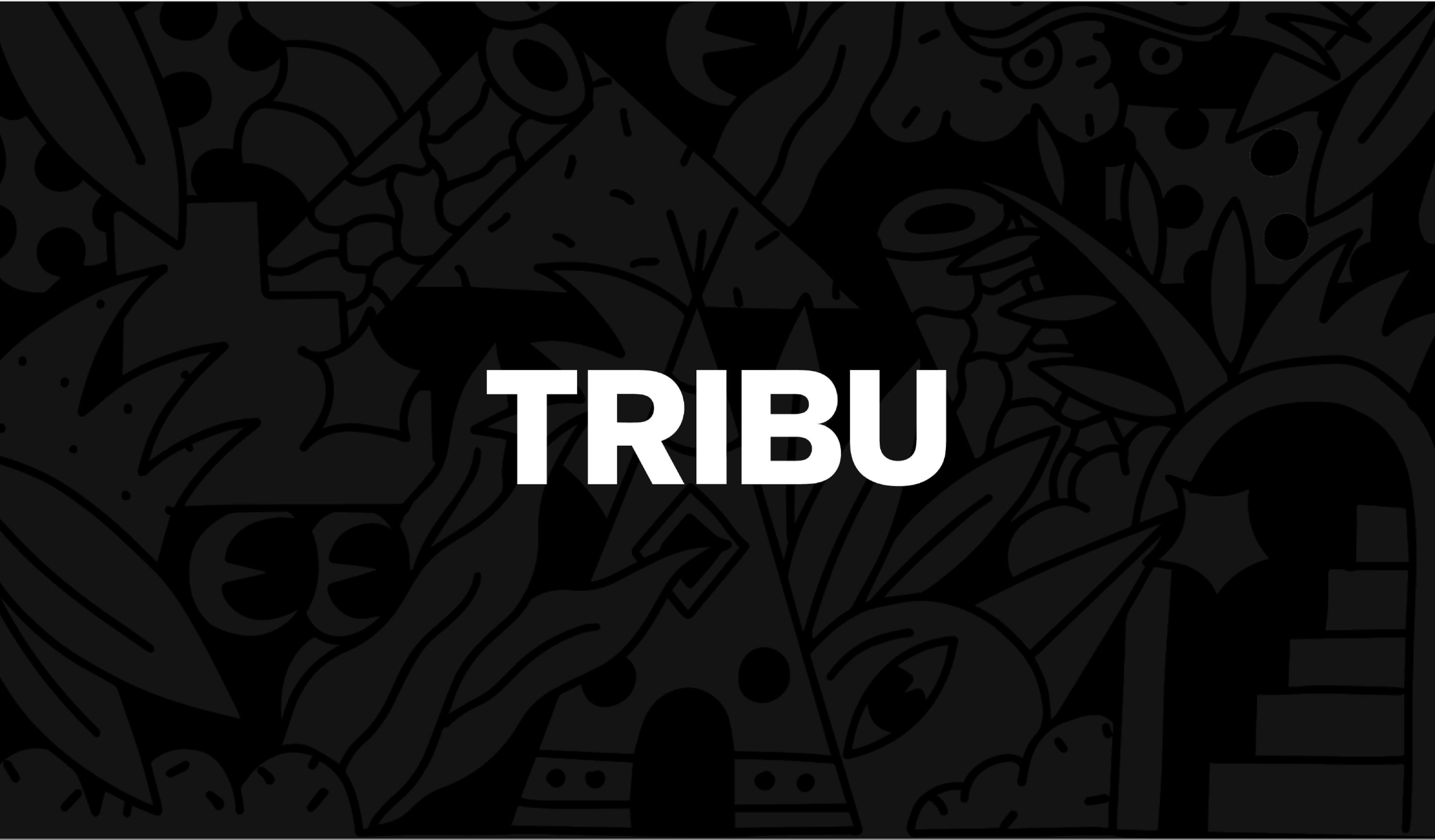 Tribu Experientiel