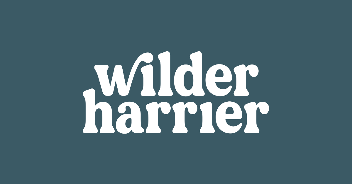 Wilder Harrier