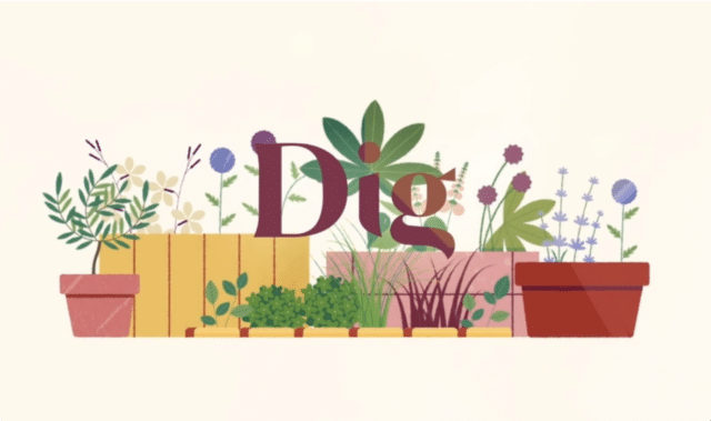 Dig