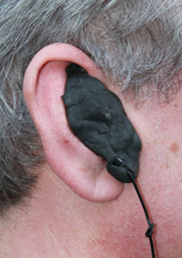 Earcandi