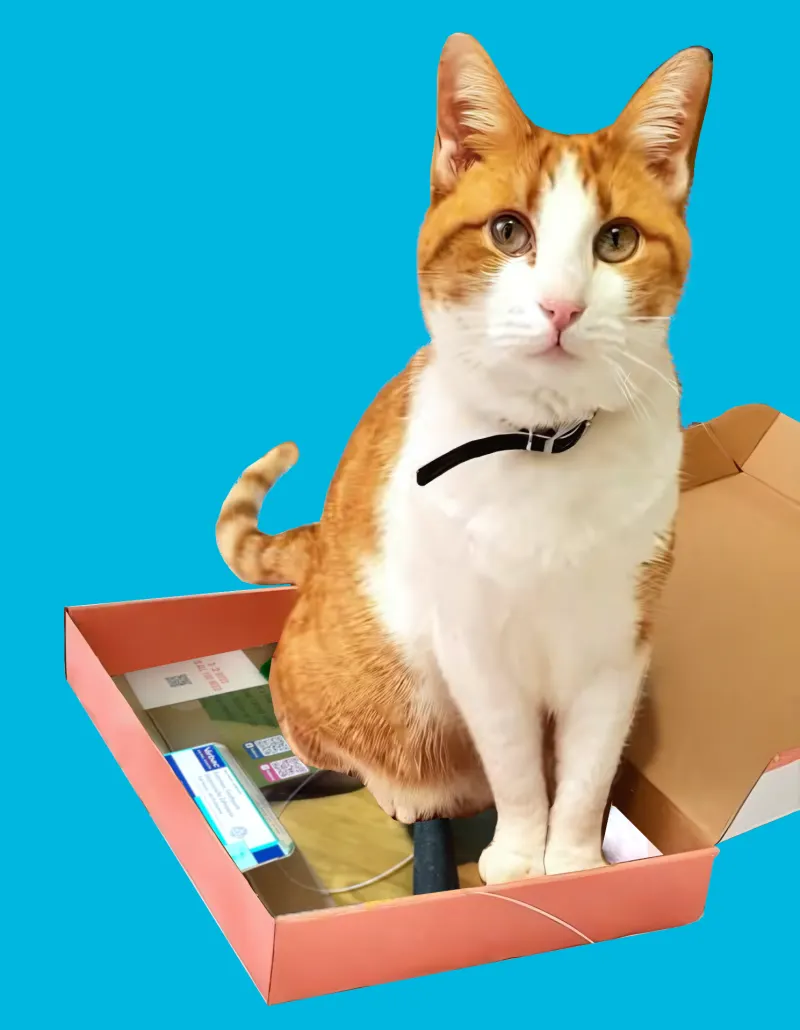 Inventor Cat