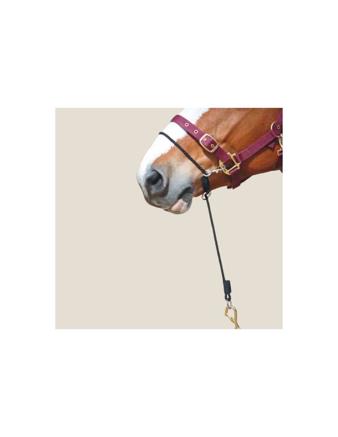 Kemp Controller