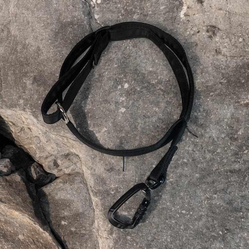 Meg Heath Dog Leads