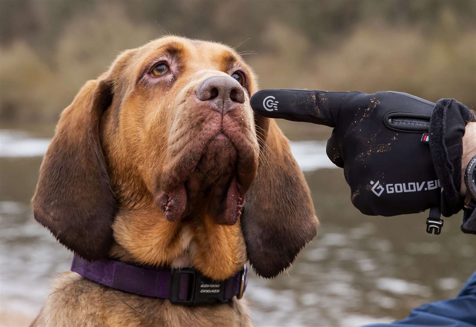 Smart Snout