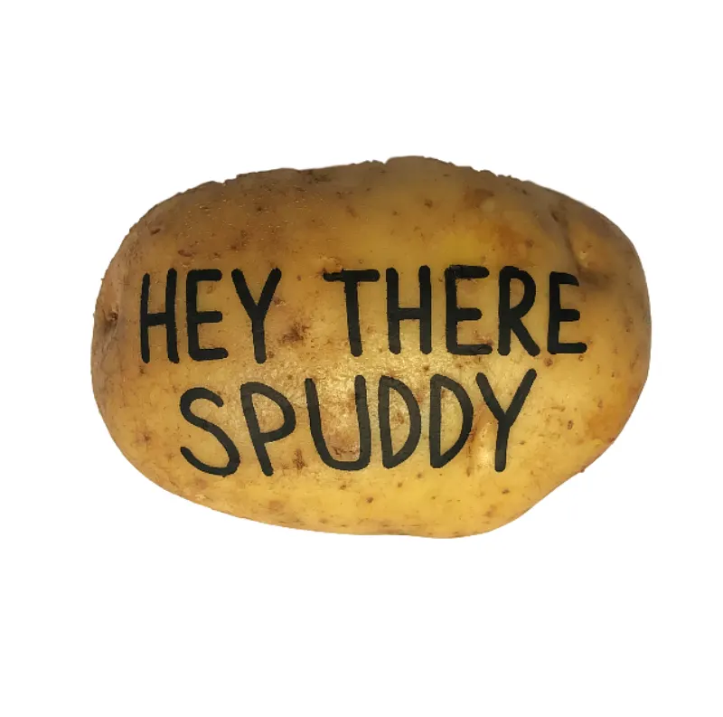 Text A Potato