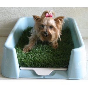 The Rascal Dog Letterbox